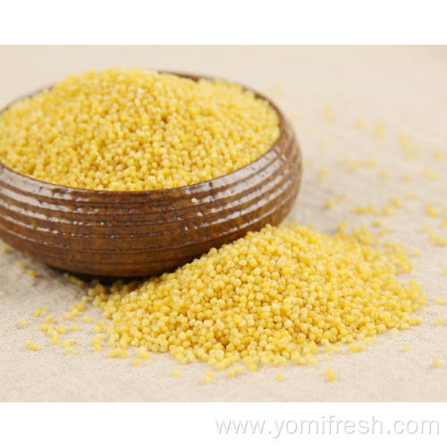 Millet Grass Seed